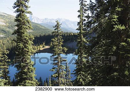 A tranquil blue lake surrounded by forest and the rocky mountains in Banff National Park; Alberta, Canada View Large Photo Image Stock Image - A tranquil blue lake surrounded by forest and the rocky mountains in Banff National Park; Alberta, Canada. Fotosearch
