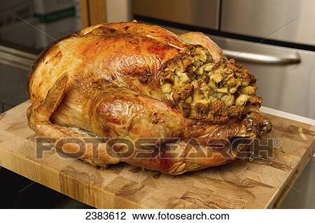 A turkey with stuffing; Millet, Alberta, Canada View Large Photo Image Stock Image - A turkey with stuffing; Millet, Alberta, Canada. Fotosearch