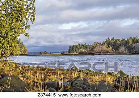 Stock Photography - A view of Nimpkish river on Vancouver Island leading into the ocean; Vancouver Island, British Columbia, Canada. Fotosearch