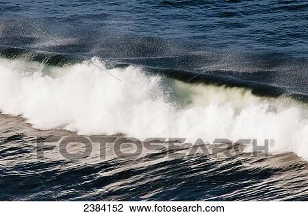 Stock Image - A wave breaks; Cannon Beach, Oregon, United States of America. Fotosearch
