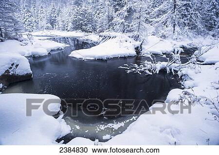 Stock Image - A winter landscape with snow covered trees and banks of a stream; Ontario, Canada. Fotosearch