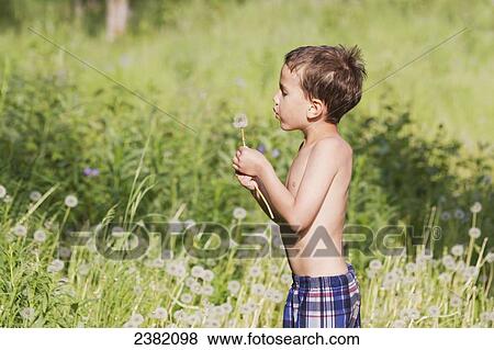 Stock Photo - A young boy blowing on a dandelion in summertime; Palmer, Alaska, United States of America. Fotosearch