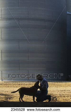 Stock Photo - Agriculture - A farmer plays with his dog at the end of the work day, with grain bins in the background / near Hoffman, Minnesota, USA.. Fotosearch
