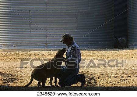 Stock Photo - Agriculture - A farmer plays with his dog at the end of the work day, with grain bins in the background / near Hoffman, Minnesota, USA.. Fotosearch