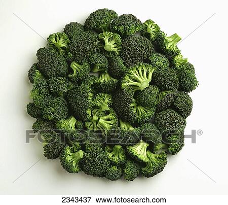 Agriculture - Broccoli florets, large, on white. View Large Photo Image Stock Photo - Agriculture - Broccoli florets, large, on white.. Fotosearch