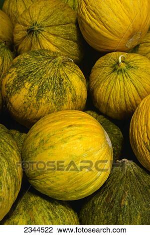 Stock Image - Agriculture - Casaba Melons / Moss Landing, California, USA.. Fotosearch