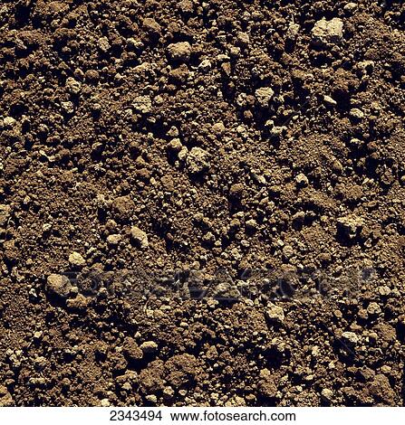 Picture - Agriculture - Closeup of clay soil / Monterey County, California, USA.. Fotosearch