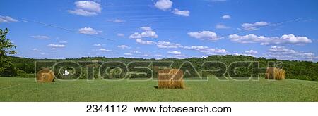Stock Image - Agriculture - Dried round grass hay bales in the field with a barn in the distance / Holmes County, Ohio, USA.. Fotosearch