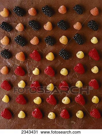 Agriculture - Fruit, multicolored, raspberries and blackberries, without mist. View Large Photo Image Stock Image - Agriculture - Fruit, multicolored, raspberries and blackberries, without mist.. Fotosearch