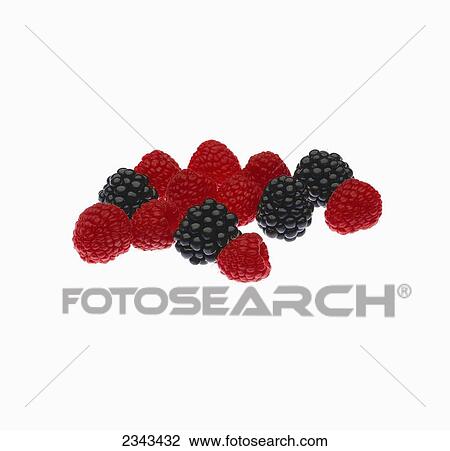 Agriculture - Fruit, raspberries and blackberries, small group, with mist. View Large Photo Image Stock Image - Agriculture - Fruit, raspberries and blackberries, small group, with mist.. Fotosearch