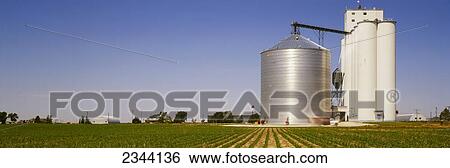 Agriculture - Grain elevator and an early growth corn field / Tribune, Kansas, USA. View Large Photo Image Stock Photograph - Agriculture - Grain elevator and an early growth corn field / Tribune, Kansas, USA.. Fotosearch