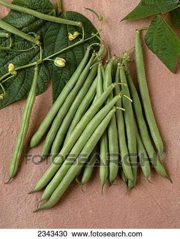 Stock Image - Agriculture - Green beans on stone; Rhapsody variety, studio.. Fotosearch