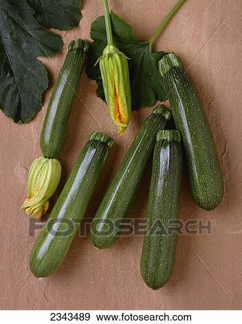 Stock Photo - Agriculture - Green zucchini on a stone surface; variety Tigress, studio.. Fotosearch