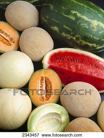 Agriculture - Mixed melons, watermelon, cantaloupe and honeydew. View Large Photo Image Stock Photo - Agriculture - Mixed melons, watermelon, cantaloupe and honeydew.. Fotosearch