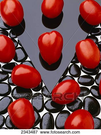Agriculture - Processing tomatoes on black rocks, triangle and white surface, studio. View Large Photo Image Stock Photo - Agriculture - Processing tomatoes on black rocks, triangle and white surface, studio.. Fotosearch