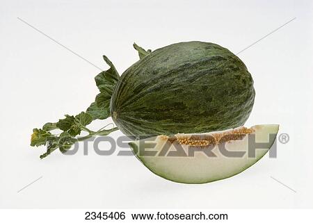 Stock Photograph - Agriculture - Produce, Casaba melon (green rind and white flesh) and vine, on white.. Fotosearch