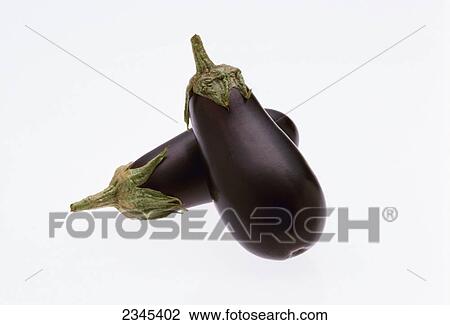 Agriculture - Produce, Egg plants, Black Beauty variety, on white. View Large Photo Image Stock Image - Agriculture - Produce, Egg plants, Black Beauty variety, on white.. Fotosearch