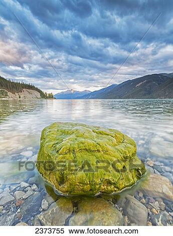 Stock Photography - Algae covered rock in Muncho Lake; British Columbia, Canada. Fotosearch