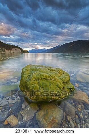 Stock Image - Algae covered rock, Muncho Lake; British Columbia, Canada. Fotosearch