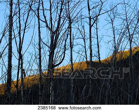 Stock Photo - Alpengow aerial photo of Eagle Peak, Chugach Mountains, Alaska. Fotosearch