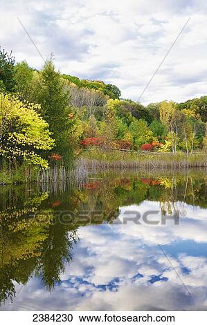 Stock Image - Autumn in the Weston Family Quarry Garden, Evergreen Brick Works; Toronto, Ontario, Canada. Fotosearch