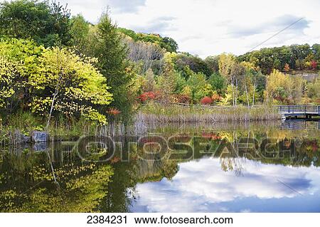 Stock Image - Autumn in the Weston Family Quarry Garden, Evergreen Brick Works; Toronto, Ontario, Canada. Fotosearch