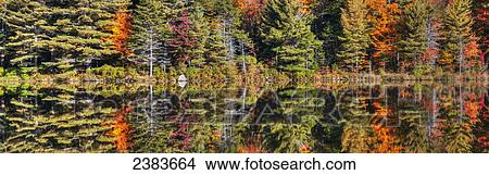 Autumn reflections in Beaver Pond; West Bolton, Quebec, Canada View Large Photo Image Picture - Autumn reflections in Beaver Pond; West Bolton, Quebec, Canada. Fotosearch