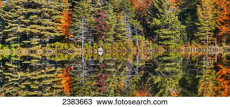 Stock Image - Autumn reflections in Beaver Pond; West Bolton, Quebec, Canada. Fotosearch