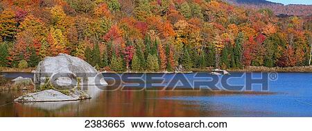 Autumn reflections in Beaver Pond; West Bolton, Quebec, Canada View Large Photo Image Stock Photography - Autumn reflections in Beaver Pond; West Bolton, Quebec, Canada. Fotosearch