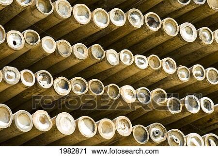 Stock Image - Bamboo sticks in a stack; Chiang Mai, Thailand. Fotosearch