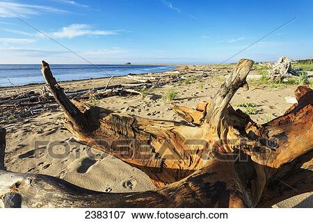 Banc de Portneuf at Portneuf-sur-Mer, Cote-Nord, Manicouagan region; Quebec, Canada View Large Photo Image Stock Photo - Banc de Portneuf at Portneuf-sur-Mer, Cote-Nord, Manicouagan region; Quebec, Canada. Fotosearch