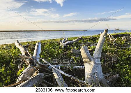 Stock Photograph - Banc de Portneuf at Portneuf-sur-Mer, Cote-Nord, Manicouagan region; Quebec, Canada. Fotosearch