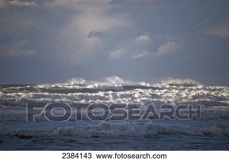 Big waves break along the Oregon coast; Gearhart, Oregon, United States of America View Large Photo Image Stock Image - Big waves break along the Oregon coast; Gearhart, Oregon, United States of America. Fotosearch