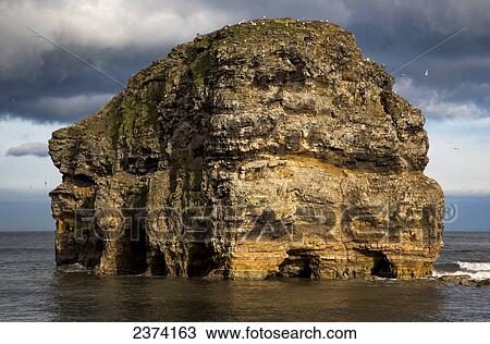 Birds landing on a large, rugged rock formation in the water; South Shields, Tyne and Wear, England View Large Photo Image Stock Image - Birds landing on a large, rugged rock formation in the water; South Shields, Tyne and Wear, England. Fotosearch