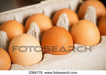Stock Photograph - Brown eggs in a carton; Columbia, Maryland, United States of America. Fotosearch
