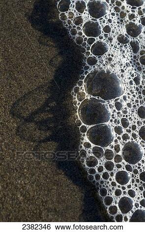 Bubbles mark the edge of the surf; Cannon Beach, Oregon, United States of America View Large Photo Image Stock Photograph - Bubbles mark the edge of the surf; Cannon Beach, Oregon, United States of America. Fotosearch