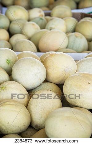 Stock Image - Cantaloupe in large boxes; Shelltown, Maryland, United States of America. Fotosearch