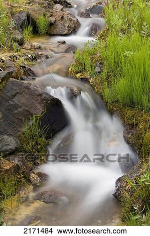 Close Up Of A Small Stream & Cascade In Denali National Park During Mid Summer In Alaska View Large Photo Image Picture - Close Up Of A Small Stream & Cascade In Denali National Park During Mid Summer In Alaska. Fotosearch
