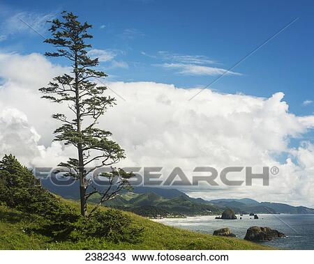 Stock Image - Clouds build up over the coast range; Cannon Beach, Oregon, United States of America. Fotosearch