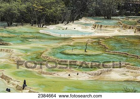 Picture - Colourful pools formed by calcite deposits; Huanglong, Sichuan province, China. Fotosearch