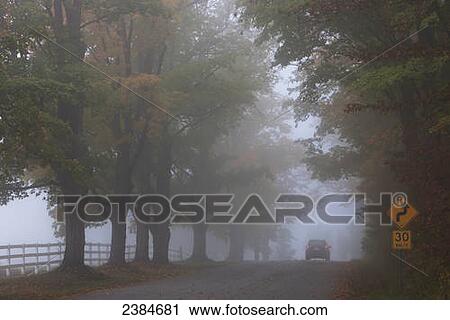 Stock Image - Country road on a foggy afternoon near Milton; Ontario, Canada. Fotosearch
