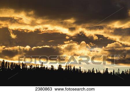 Dark cloud glowing and silhouette of a forest at sunset; Whitehorse, Yukon, Canada View Large Photo Image Stock Image - Dark cloud glowing and silhouette of a forest at sunset; Whitehorse, Yukon, Canada. Fotosearch
