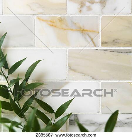 Detail of marble subway tiles; Victoria, British Columbia, Canada View Large Photo Image Stock Photo - Detail of marble subway tiles; Victoria, British Columbia, Canada. Fotosearch