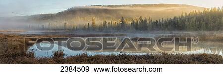 Early morning light illuminates the clouds and trees surrounding Costello Creek, Algonquin Park; Ontario, Canada View Large Photo Image Stock Photo - Early morning light illuminates the clouds and trees surrounding Costello Creek, Algonquin Park; Ontario, Canada. Fotosearch