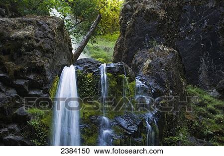 Fall Creek Falls, near Job's Garden; Glide, Oregon, United States of America View Large Photo Image Stock Image - Fall Creek Falls, near Job's Garden; Glide, Oregon, United States of America. Fotosearch