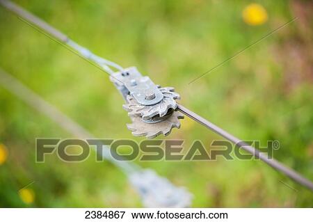 Fence tension spring; Centreville, Maryland, United States of America View Large Photo Image Stock Photo - Fence tension spring; Centreville, Maryland, United States of America. Fotosearch