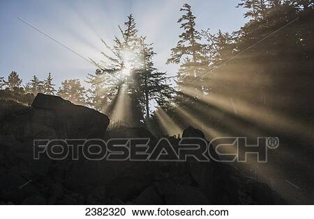 Fog diffuses the sunlight; Cannon Beach, Oregon, United States of America View Large Photo Image Stock Image - Fog diffuses the sunlight; Cannon Beach, Oregon, United States of America. Fotosearch