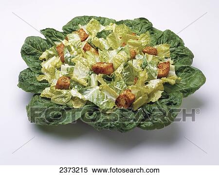 Stock Photography - Food - Caesar salad prepared with Romaine lettuce, dressing, parmesan cheese and croutons, studio.. Fotosearch