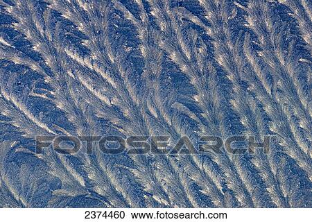 Frost makes patterns on a car window; Astoria, Oregon, United States of America View Large Photo Image Stock Image - Frost makes patterns on a car window; Astoria, Oregon, United States of America. Fotosearch