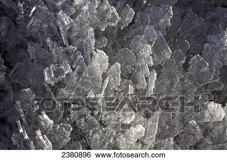 Geometric frost-formed ice cystals, Sol Duc Valley; Washington, United States of America View Large Photo Image Stock Photograph - Geometric frost-formed ice cystals, Sol Duc Valley; Washington, United States of America. Fotosearch